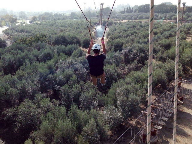  Grande zipline sugli alberi 